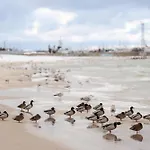 Komandorski Przy Aquaparku Апартаменты Реда