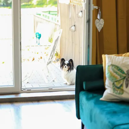 Komandorski Przy Aquaparku