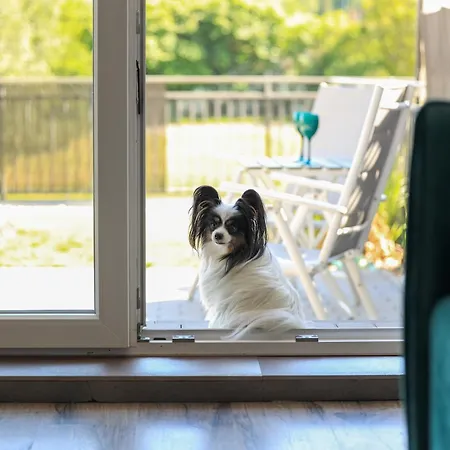 Appartamento Komandorski Przy Aquaparku