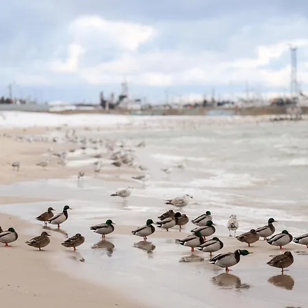 Komandorski Przy Aquaparku Appartamento Reda