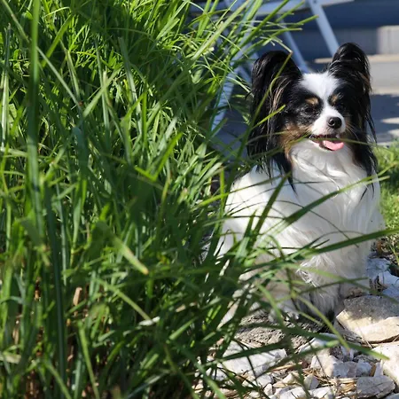 Komandorski Przy Aquaparku