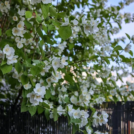 Komandorski Przy Aquaparku * Reda