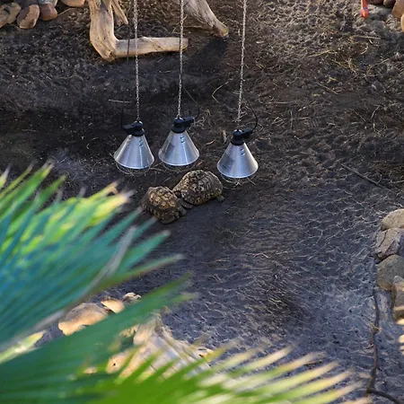 Appartamento Komandorski Przy Aquaparku