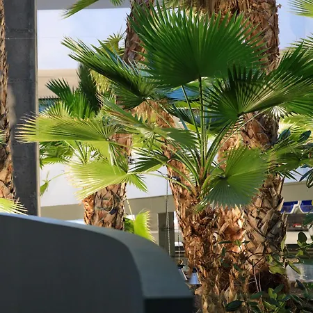 Komandorski Przy Aquaparku *