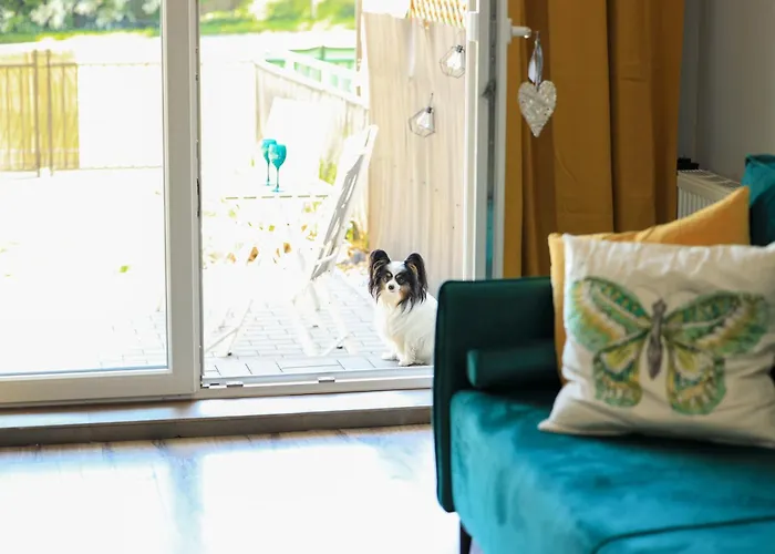 Komandorski Przy Aquaparku