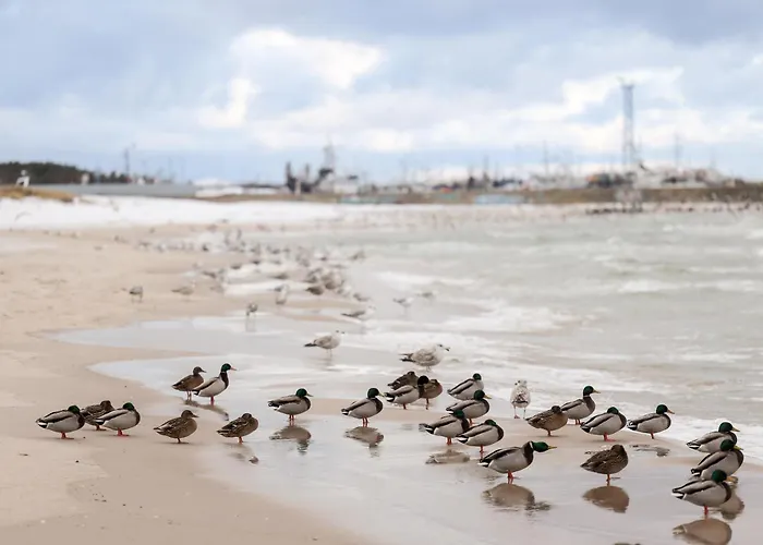 Komandorski Przy Aquaparku Lägenhet Reda