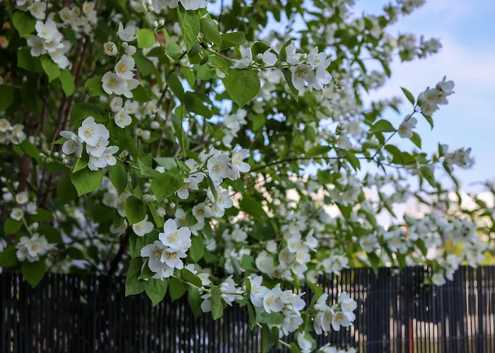 Komandorski Przy Aquaparku * Reda