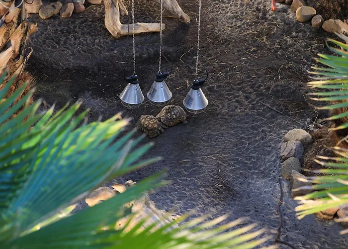 Lägenhet Komandorski Przy Aquaparku