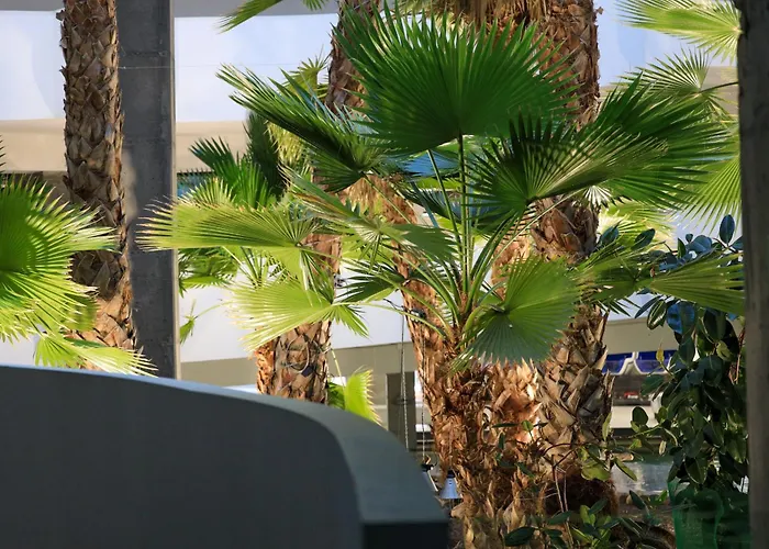 Komandorski Przy Aquaparku *